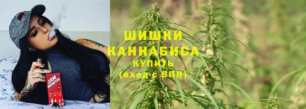 стафф Каменногорск