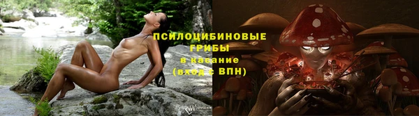 стафф Каменногорск