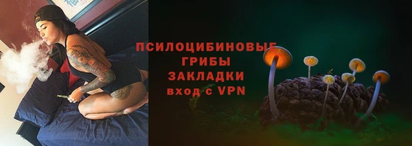 марки lsd Каменка