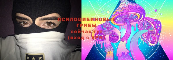 стафф Каменногорск