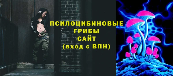 дживик Инта