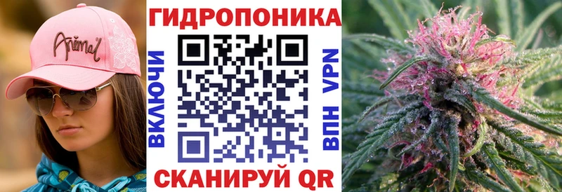 omg вход  Ессентуки  Бошки марихуана планчик 
